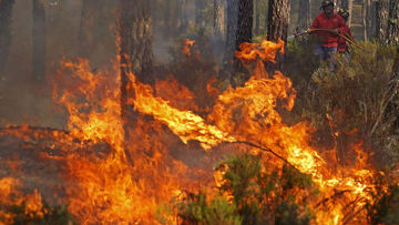 Лесные пожары в Португалии