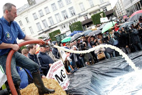 Акция протеста в Брюсселе 