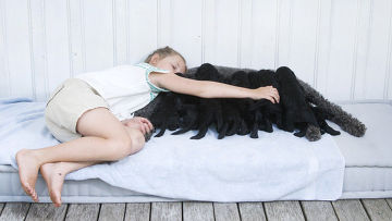 Принцесса Ингрид Александра с собакой Милли Какао и щенками