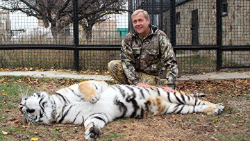 Директор зоопарка Олег Зубков с уссурийским тигром в сафари-парке "Тайган" в Крыму