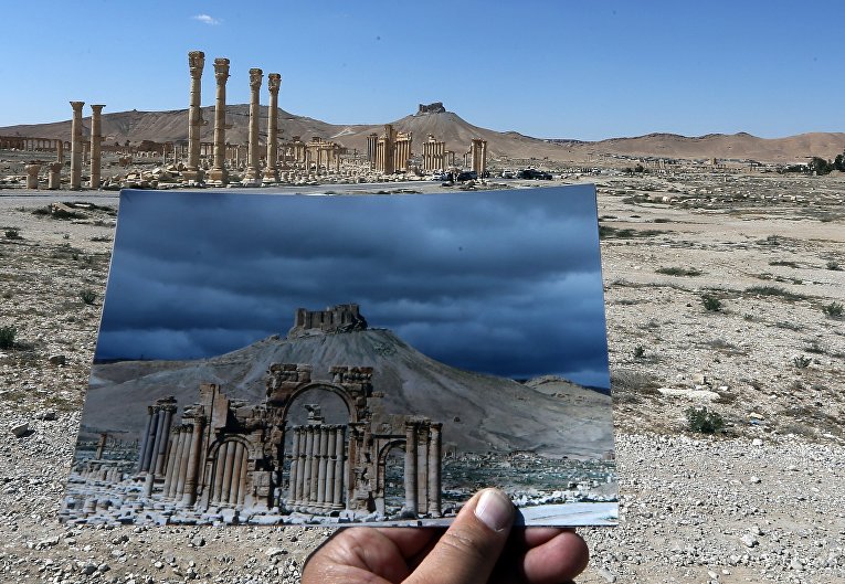 Пальмира в 2014 и 2016