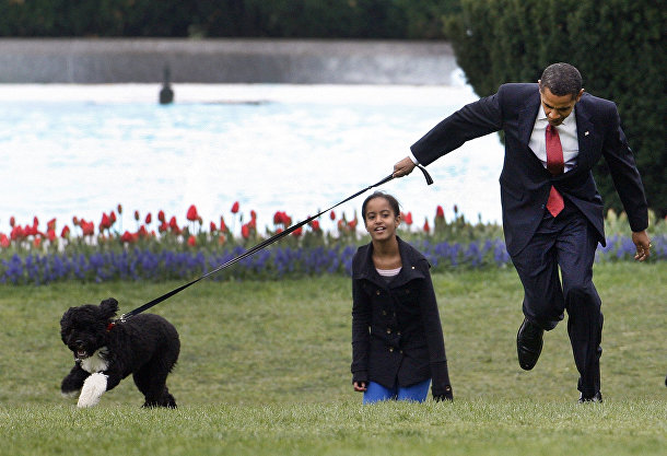 Президент Барак Обама решил покрасоваться своей новой собакой по имени Бо