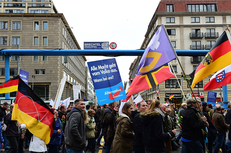 Сторонники правой партии АдГ (Альтернатива для Германии) на акции протеста против засилья мигрантов