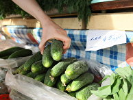 Продажа овощей на рынке Продажа овощей на рынке