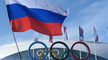 Болельщики с российским флагом в Олимпийском парке Сочи