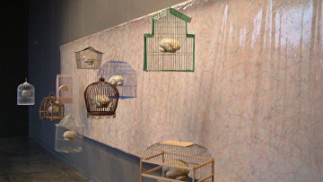 237426921 почему мозг забывает информацию