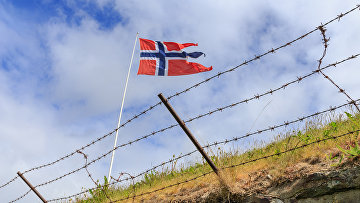 Флаг на норвежской границе