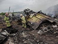 Крушение малайзийского Boeing на Украине Крушение малайзийского Boeing на Украине