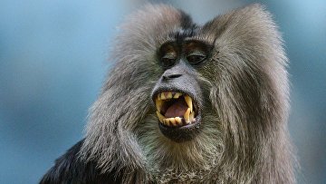 самые большие яйца у слона. Смотреть фото самые большие яйца у слона. Смотреть картинку самые большие яйца у слона. Картинка про самые большие яйца у слона. Фото самые большие яйца у слона самые большие яйца у слона. Смотреть фото самые большие яйца у слона. Смотреть картинку самые большие яйца у слона. Картинка про самые большие яйца у слона. Фото самые большие яйца у слона