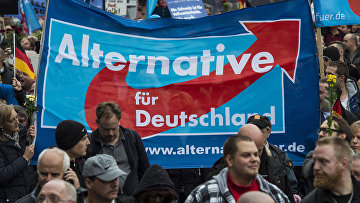 Сторонники партии «Альтернатива для Германии» во время демонстрации Берлине