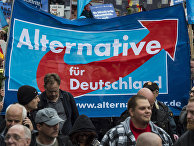 Сторонники партии «Альтернатива для Германии» во время демонстрации Берлине