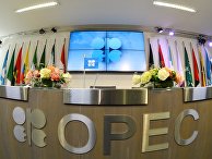 В здании ОПЕК в Вене В здании ОПЕК в Вене
