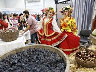 Торговля на "Кубанской ярмарке" в выставочном центре "Экспоград Юг" в Краснодаре Торговля на "Кубанской ярмарке" в выставочном центре "Экспоград Юг" в Краснодаре