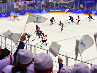 Хоккейный матч между командами Японии и объедененной корейской командой во время XXIII зимних Олимпийских игр в Пхенчхане