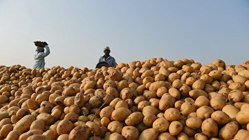 русская кухня в китае. Смотреть фото русская кухня в китае. Смотреть картинку русская кухня в китае. Картинка про русская кухня в китае. Фото русская кухня в китае русская кухня в китае. Смотреть фото русская кухня в китае. Смотреть картинку русская кухня в китае. Картинка про русская кухня в китае. Фото русская кухня в китае