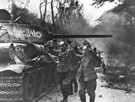 Фашисты сдаются в плен, 1945 год Фашисты сдаются в плен, 1945 год