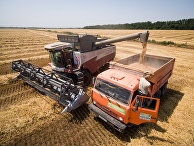 Уборка пшеницы на полях АО "Агрокомплекс" в Краснодарском крае