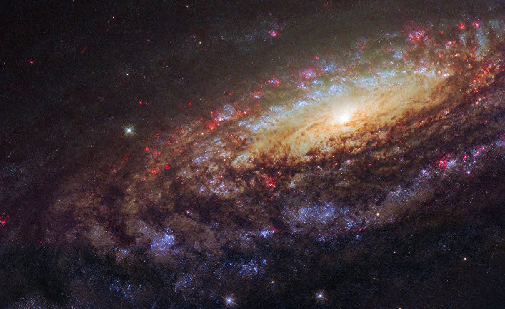 Фотография спиральной галактики NGC 7331, снятая телескопом «Хаббл»