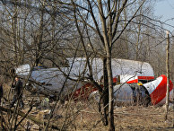 Обломки самолета Ту-154, упавшего в районе Смоленска