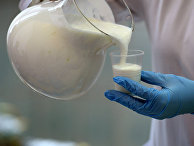 Молочная продукция Молочная продукция