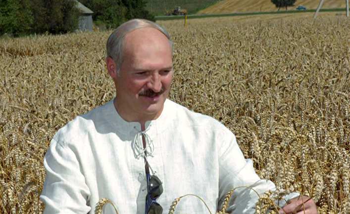 Александр Лукашенко во время посещения кооператива под Гродно