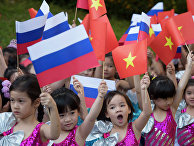 Флаги России и Вьетнама