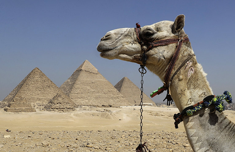 Пирамиды Гизы в Каире