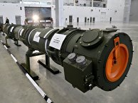 Демонстрация ракеты 9М729 для военных атташе Демонстрация ракеты 9М729 для военных атташе