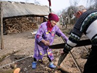 Валентина Бережняцкая (75 лет) и Иван Селуйко (78 лет) пилят дрова в деревне Савичи на территории Полесского радиационно-экологического заповедника в Белоруссии Валентина Бережняцкая (75 лет) и Иван Селуйко (78 лет) пилят дрова в деревне Савичи на территории Полесского радиационно-экологического заповедника в Белоруссии