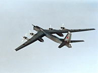 Бомбардировщик Ту-95 Бомбардировщик Ту-95