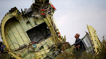 Следователь осматривает место крушения рейса MH17 авиакомпании Malaysia Airlines
