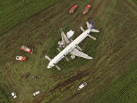 Пассажирский самолёт совершил аварийную посадку в Подмосковье
