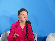 Экологическая активистка Грета Тунберг Экологическая активистка Грета Тунберг