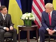 Трамп - Зеленскому: вы бы с Путиным могли все решить Трамп - Зеленскому: вы бы с Путиным могли все решить