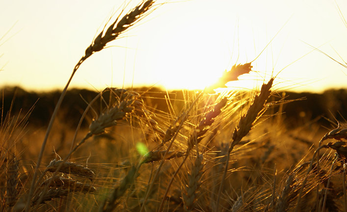 какой ингредиент должен содержать хрустящий хлеб крис бред согласно традиционному рецепту. Смотреть фото какой ингредиент должен содержать хрустящий хлеб крис бред согласно традиционному рецепту. Смотреть картинку какой ингредиент должен содержать хрустящий хлеб крис бред согласно традиционному рецепту. Картинка про какой ингредиент должен содержать хрустящий хлеб крис бред согласно традиционному рецепту. Фото какой ингредиент должен содержать хрустящий хлеб крис бред согласно традиционному рецепту какой ингредиент должен содержать хрустящий хлеб крис бред согласно традиционному рецепту. Смотреть фото какой ингредиент должен содержать хрустящий хлеб крис бред согласно традиционному рецепту. Смотреть картинку какой ингредиент должен содержать хрустящий хлеб крис бред согласно традиционному рецепту. Картинка про какой ингредиент должен содержать хрустящий хлеб крис бред согласно традиционному рецепту. Фото какой ингредиент должен содержать хрустящий хлеб крис бред согласно традиционному рецепту
