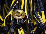 Сувенирная монета биткоина Сувенирная монета биткоина