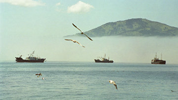 политические отношения россии и японии. Смотреть фото политические отношения россии и японии. Смотреть картинку политические отношения россии и японии. Картинка про политические отношения россии и японии. Фото политические отношения россии и японии политические отношения россии и японии. Смотреть фото политические отношения россии и японии. Смотреть картинку политические отношения россии и японии. Картинка про политические отношения россии и японии. Фото политические отношения россии и японии