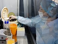 Тест-системы для диагностики нового коронавируса Тест-системы для диагностики нового коронавируса