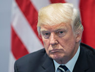 Президент США Дональд Трамп во время беседы с президентом РФ Владимиром Путиным на полях саммита G20 в Гамбурге Президент США Дональд Трамп во время беседы с президентом РФ Владимиром Путиным на полях саммита G20 в Гамбурге