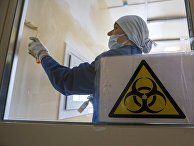 Рабочие делают ремонт помещений под лабораторию Рабочие делают ремонт помещений под лабораторию