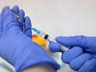 Вакцинация Вакцинация