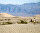 Туристы гуляют по Мескитовым дюнам в Национальном парке Долина Смерти
