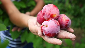 если курица подгорела что делать. 248052898. если курица подгорела что делать фото. если курица подгорела что делать-248052898. картинка если курица подгорела что делать. картинка 248052898.