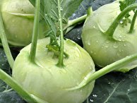 Кольраби Кольраби