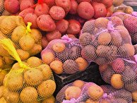 Картофель Картофель