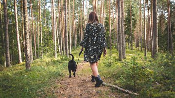 Что такое гипотетическая война. Смотреть фото Что такое гипотетическая война. Смотреть картинку Что такое гипотетическая война. Картинка про Что такое гипотетическая война. Фото Что такое гипотетическая война