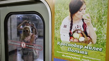 какие санкции ввела россия в отношении чехии