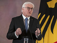 Немецкий политик Франк-Вальтер Штайнмайер