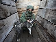 Обстановка в районе села Саханка на юге ДНР Обстановка в районе села Саханка на юге ДНР