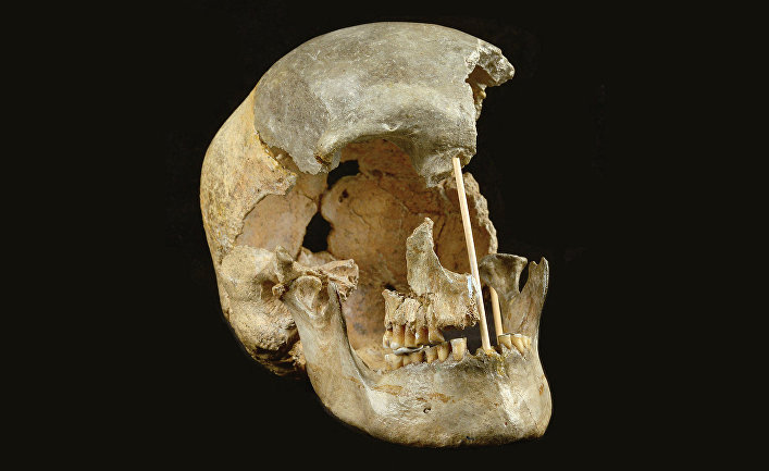 Череп современного человека из пещеры Златы Кун, Чехия